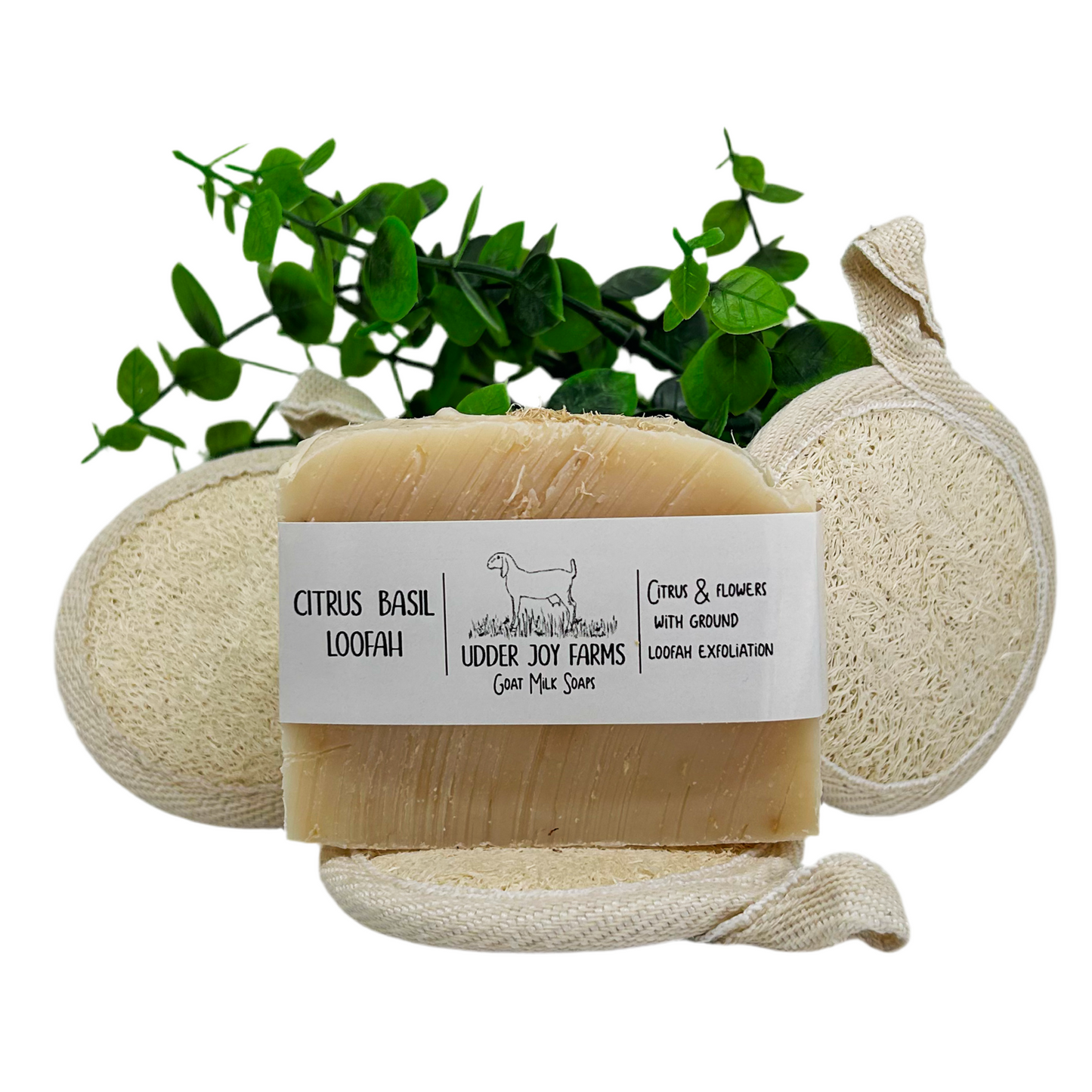 Mini Loofah Sponges