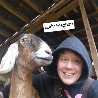 Meghan's Mountain Top Goat Milk Soap